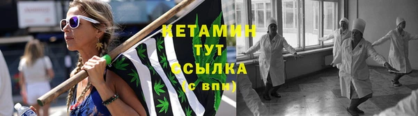 ПСИЛОЦИБИНОВЫЕ ГРИБЫ Болохово