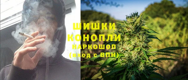 ГАЛЛЮЦИНОГЕННЫЕ ГРИБЫ Беслан