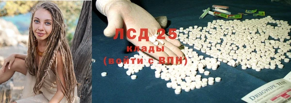 ГАЛЛЮЦИНОГЕННЫЕ ГРИБЫ Беслан