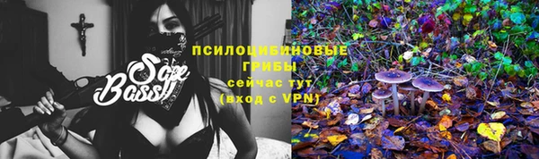 ПСИЛОЦИБИНОВЫЕ ГРИБЫ Болохово