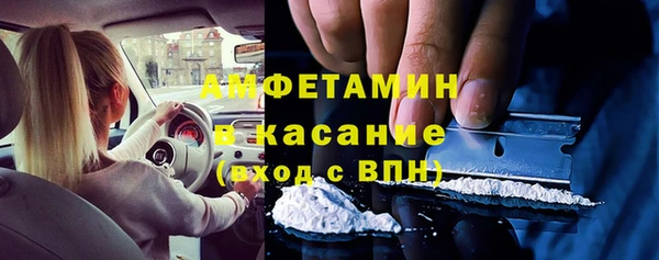ГАЛЛЮЦИНОГЕННЫЕ ГРИБЫ Беслан