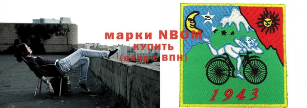 ГАЛЛЮЦИНОГЕННЫЕ ГРИБЫ Беслан