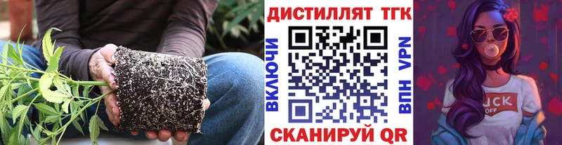 дарнет шоп  Заречный  Дистиллят ТГК жижа 