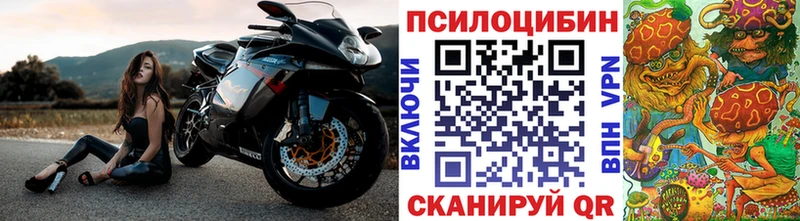 Галлюциногенные грибы мицелий  хочу   Заречный 