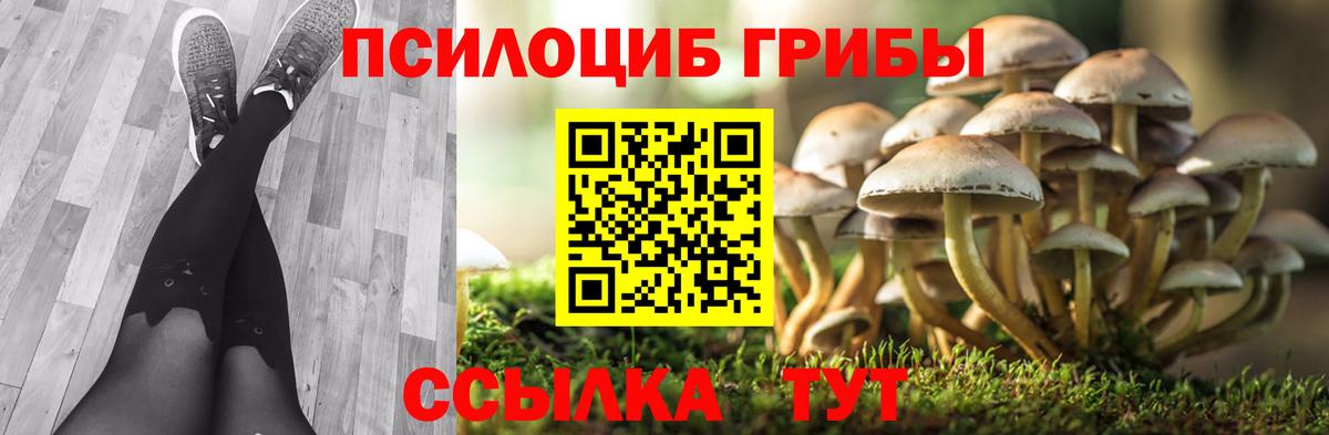 Галлюциногенные грибы Cubensis Заречный